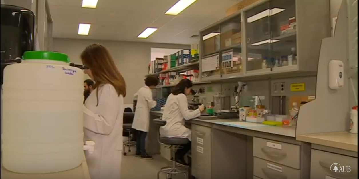 BBC Arabic interview with AUB Dr. Rose-Mary Boustany